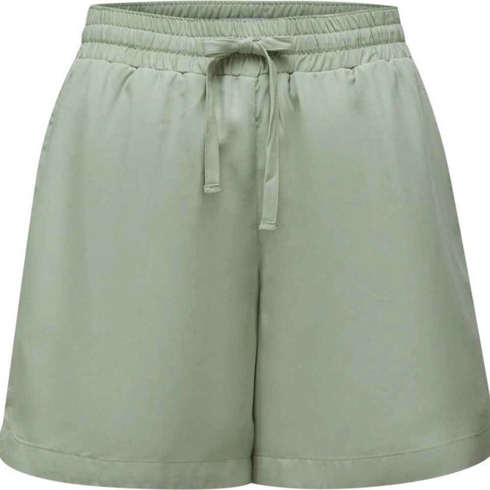 NWT Women's Niagara Short in Washed Mint L by Vallier